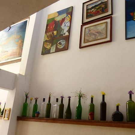 Pousada Flor Amarela Balneário Camboriú エクステリア 写真