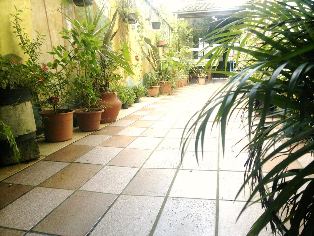 Pousada Flor Amarela Balneário Camboriú エクステリア 写真